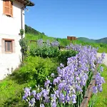 La Cascina Di Opaco Κατάλυμα σε φάρμα Νόρτσια
