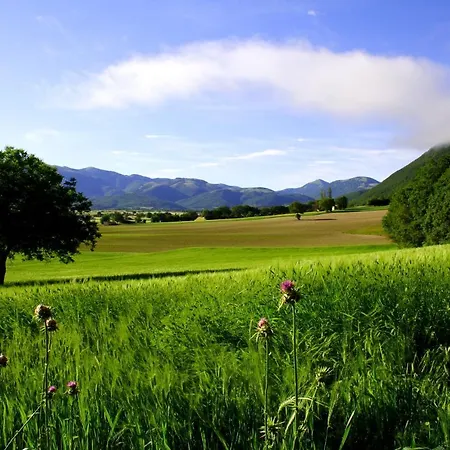 Agroturismo La Cascina Di Opaco *