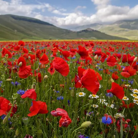 La Cascina Di Opaco בית חווה נורצ'יה