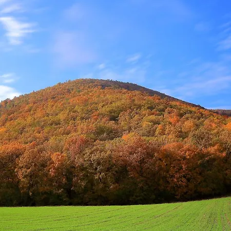 La Cascina Di Opaco Alojamento de Turismo Rural *