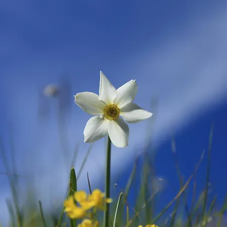 La Cascina Di Opaco Nórcia