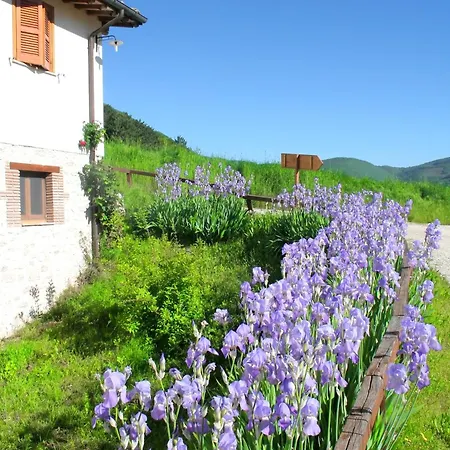 La Cascina Di Opaco Farma Norcia